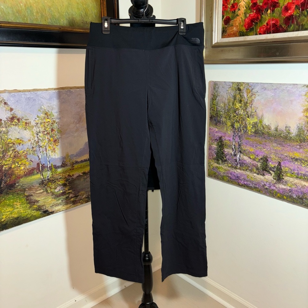 THE NORTH FACE pants size L